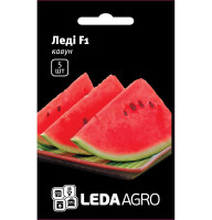 Насіння Кавуна Леді F1 5 нас. Leda Agro