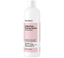 Подсушивающий лосьон для жирной проблемной и подверженной акне коже Hollyskin Calamine Drying Lotion 100 мл