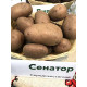 Семенной картофель Сенатор Элита 1 кг