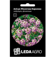 Насіння Аліссум Фіолетова Королева 0,2 г LedaAgro