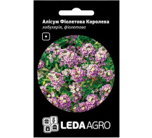 Семена Алиссум Фиолетовая Королева 0,2 г LedaAgro