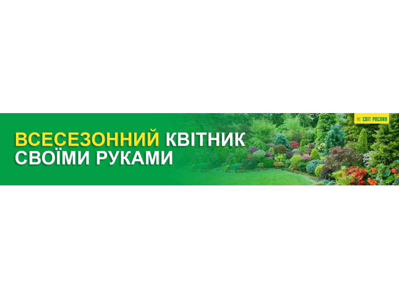 Всесезонный цветник своими руками