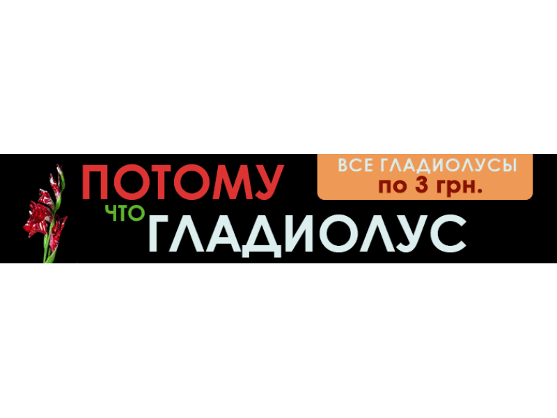Тому що гладіолус!