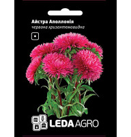 Насіння Айстра Аполлонія червона 0,2 гр LedaAgro