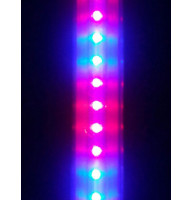 Світлодіодна лампа Т8 R:B=4:2