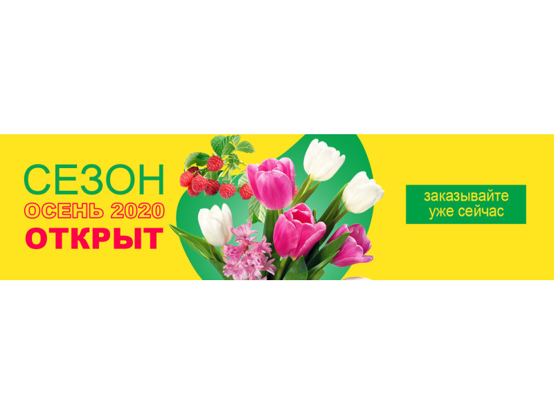 Сезон Осінь 2020 відкрито. Оформіть передзамовення першими!