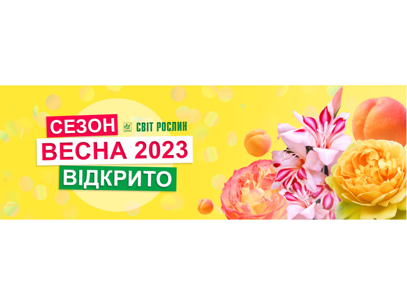 Старт сезона 2023