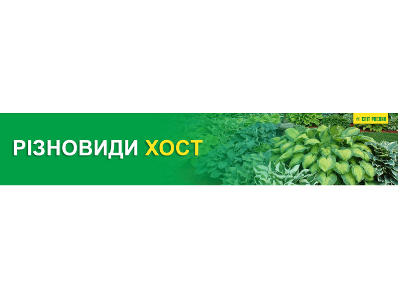 Разновидности хост