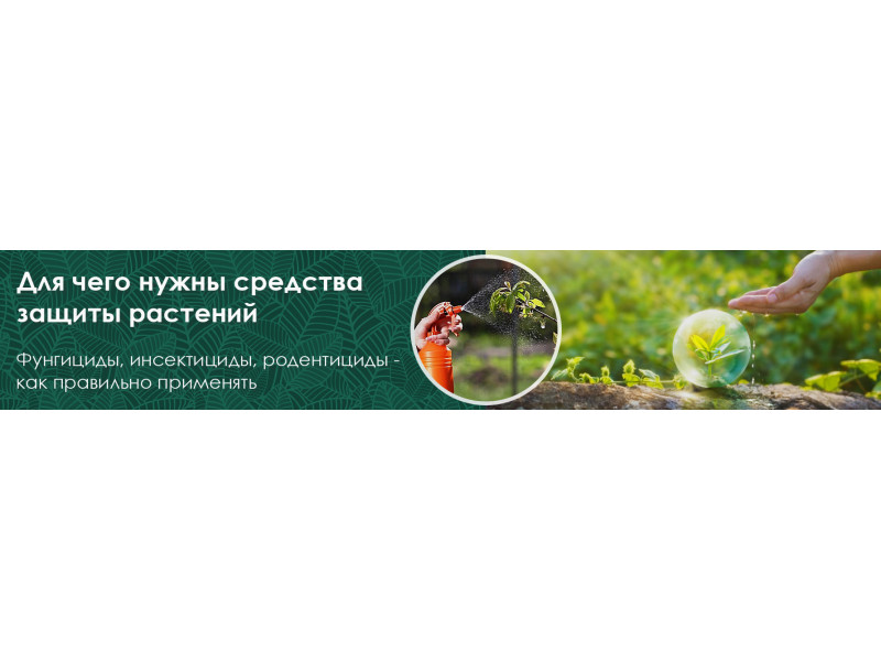 Для чего нужны средства защиты растений