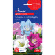 Семена колокольчика Чашка с блюдцем 0.1 г