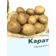 Семенной картофель Карат Элита 1 кг
