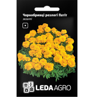 Насіння Чорнобривці розлогі Патіт жовті 0,25 г LedaAgro