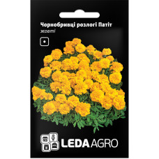 Семена Бархатцы раскидистые Патит желтые 0,25 г LedaAgro