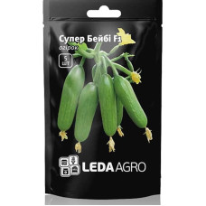 Насіння Огірок Супер Бейбі F1 салатний 5 шт LedaAgro