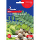 Насіння Горох Турецкий Нут GL Seeds 50 г