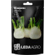 Семена Фенхель Флоренс 0,5 г LedaAgro