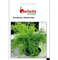 Насіння Аспарагуса Шпренгера 0,2 г
