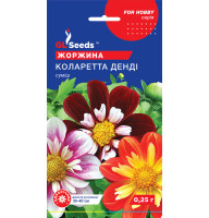 Насіння Жоржина Коларетта Денді GL Seeds 0,25 г