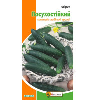 Насіння Огірок Посухостійкий Яскрава 1,5 г