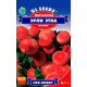 Маргаритка Эрли Этна 0,1 г