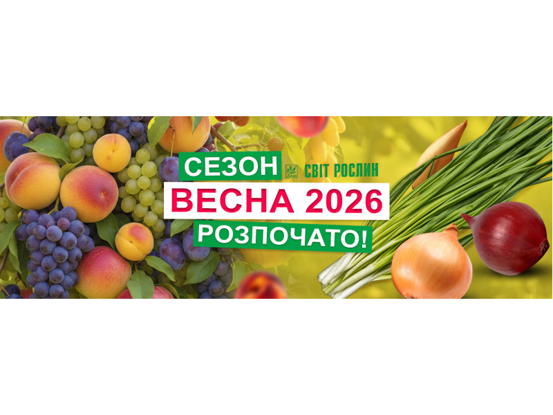Розпочинаємо новий сезон 2026!