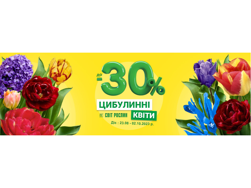 Акція! До -30% на цибулинні квіти