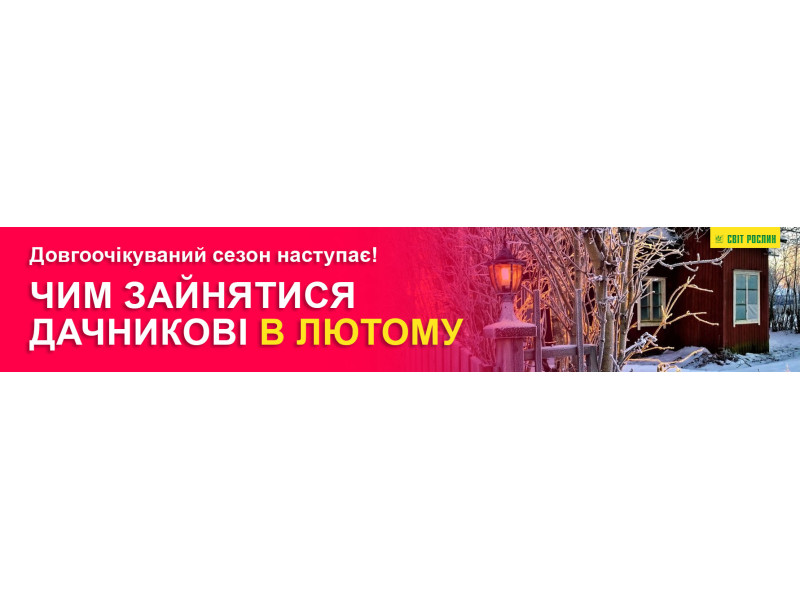  Довгоочікуваний сезон наступає! Чим зайнятися дачникові в лютому
