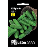 Насіння Огірок Кібрія F1 50 нас LedaAgro