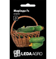 Насіння Огірок Марінда F1 10 насінин LedaAgro
