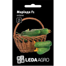 Насіння Огірок Марінда F1 10 насінин LedaAgro