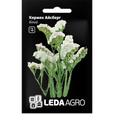 Семена Кермек Айсберг белый 0,15 г LedaAgro