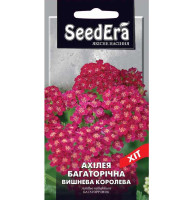 Насіння Ахілея (Деревій) Вишнева Королева багаторічна 0,1 г Seedera