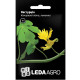 Настурция Канарейки Лианы лимонная 0.5 г LedaAgro