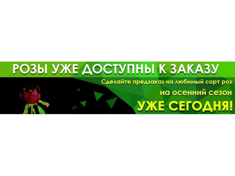 Передзамовлення на осінній асортимент троянд вже стартувало!