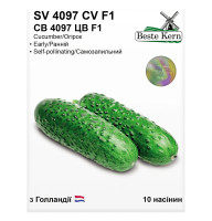 Насіння Огірок СВ 4097 ЦВ F1 10 нас Beste Kern