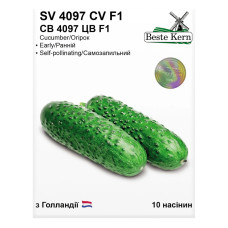 Насіння Огірок СВ 4097 ЦВ F1 10 нас Beste Kern