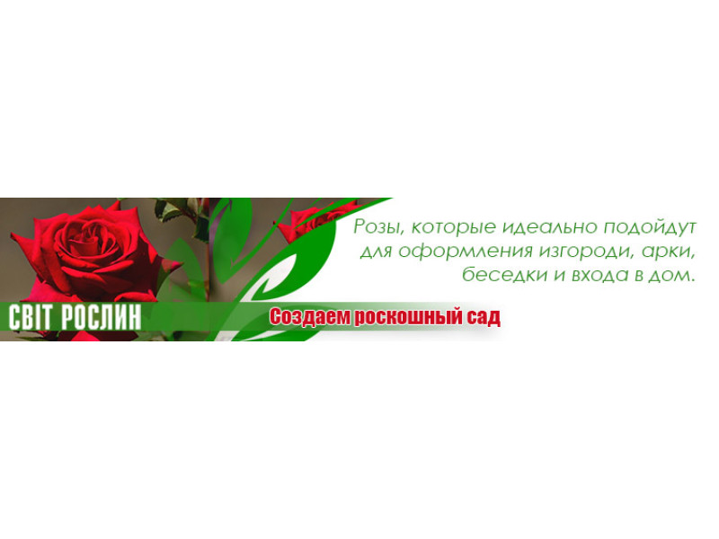 5 ідей для оформлення саду троянд