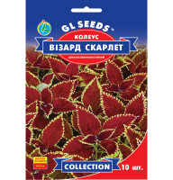 Насіння Колеус Візард Скарлетт 10 нас GL Seeds