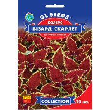 Семена Колеус Визард Скарлетт 10 сем GL Seeds
