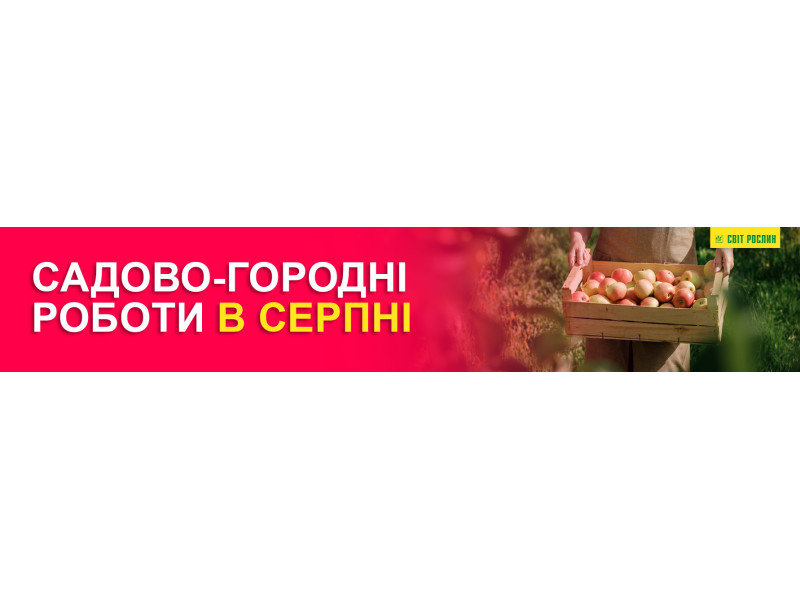 Садово – огородные работы в августе