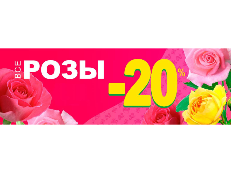 -20% на всі саджанці троянд!