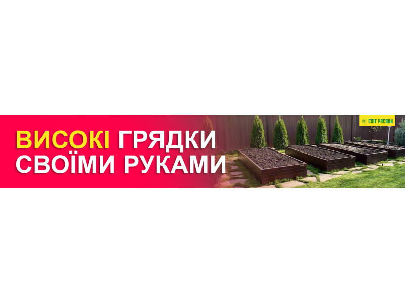 Високі грядки: що це та як зробити своїми руками