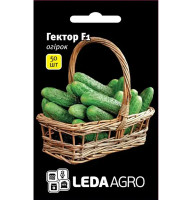 Насіння Огірок Гектор F1 50 нас LedaAgro