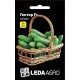 Насіння Огірок Гектор F1 50 нас LedaAgro