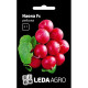 Семена Редис Наона F1 2 г LedaAgro