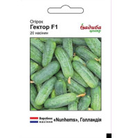 Насіння Огірок Гектор F1 СЦ 20 нас