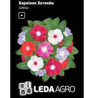 Барвинок Хетвейв (смесь) 10 шт LedaAgro