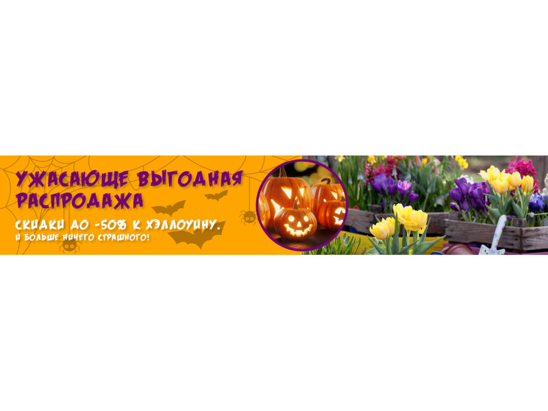  Жахливо вигідний розпродаж