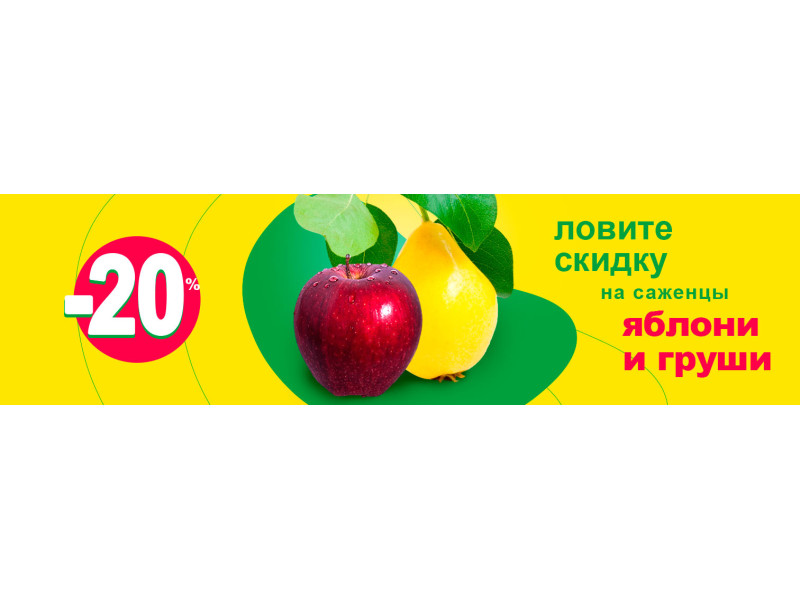 Ловіть знижки на саджанці яблуні і груші!