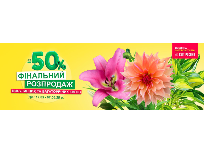 Фінальний розпродаж! Цибулинні квіти зі знижкою до -50%
